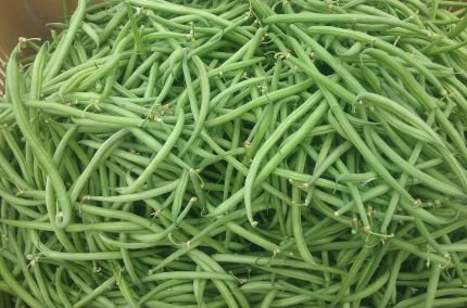 Haricot vert