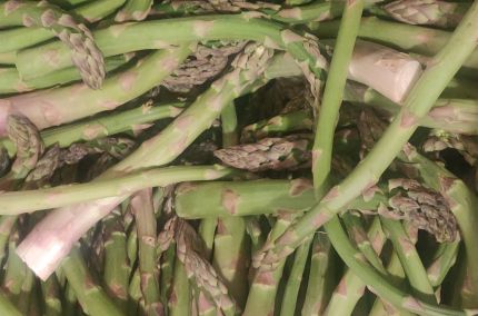 Asperge verte