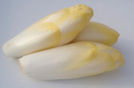 Endive