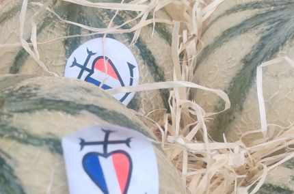 Melon Français