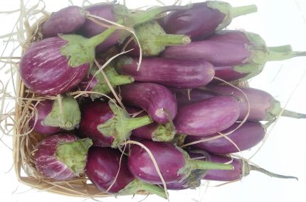 Mini aubergine