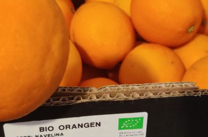 Orange  bio