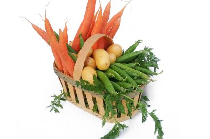 Panier Jardinière