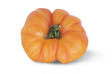 Tomate ancienne ananas
