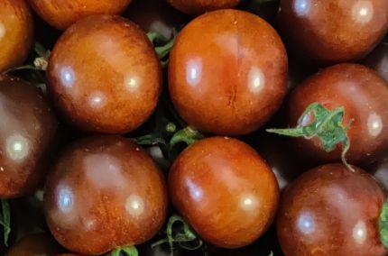 Tomate yoom