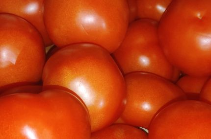 Tomate ronde france
