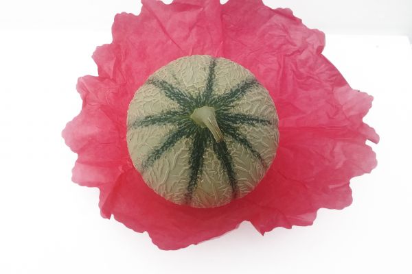 Melon de Cavaillon - visuel 1