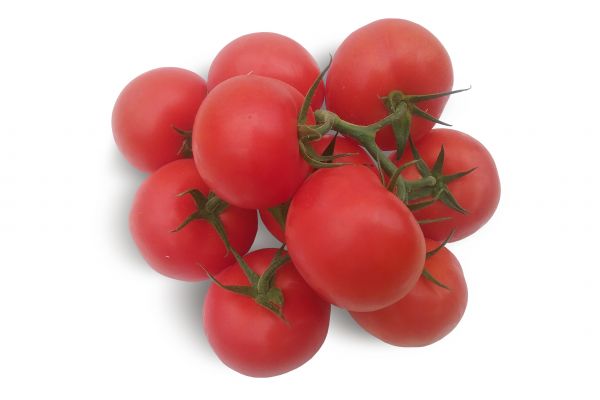 Tomate Grappe - visuel 1