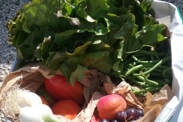 Panier primeur personnalisé hebdomadaire - visuel 1