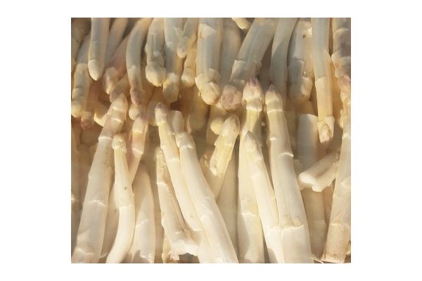 Asperges blanche (1) - visuel 1