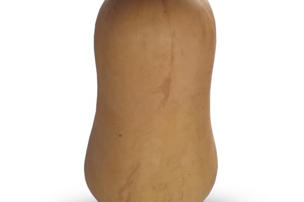 Butternut - visuel 1