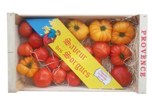 Tomate ancienne marmande - visuel 2