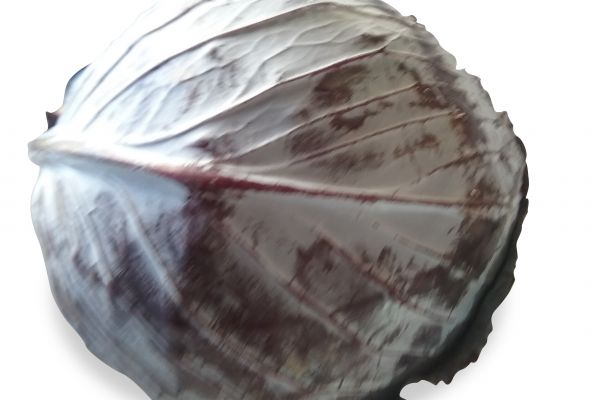 Choux rouges - visuel 1