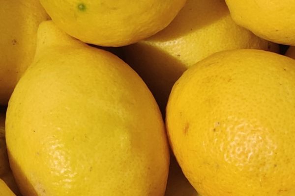 citron bio gros - visuel 1