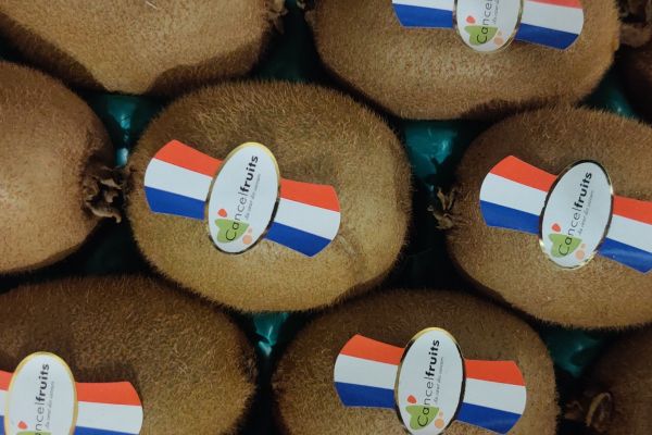 Kiwi de France - visuel 1