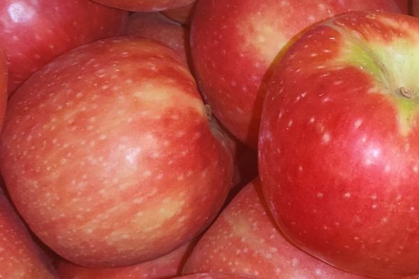 Pomme Pink Kiss - visuel 1