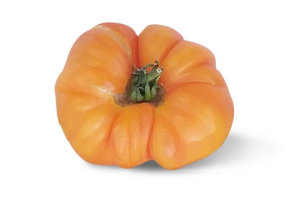 Tomate ancienne ananas - visuel 1