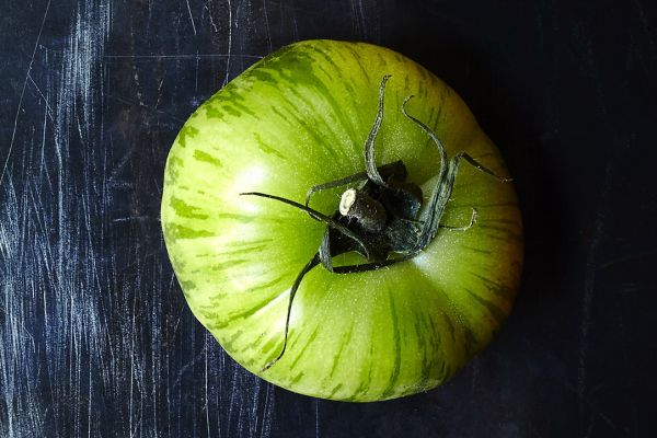 Tomate ancienne green zebra - visuel 1