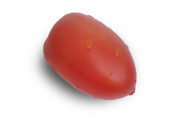 Tomate olivette - visuel 1