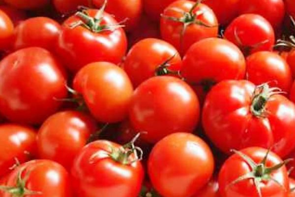 Tomates Gustative - visuel 1