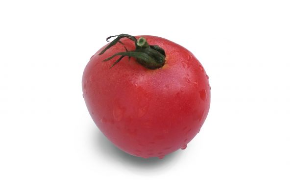 Tomate ancienne rose de berne - visuel 1